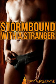 Stormbound With A Stranger (Gay Erotica) Sugar Spendlove Author
