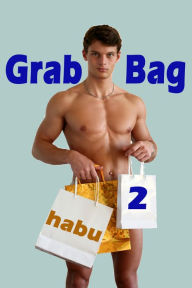 Grab Bag 2 (A Gay Erotica Anthology) Habu Author