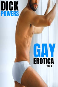 Gay Erotica Vol. 3 Dick Powers Author