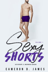 Sexy Shorts: Gay Hookups and Anonymous Quickies: Volume One Cameron D. James Author
