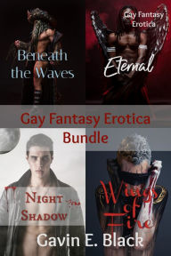 Gay Fantasy Erotica Bundle Gavin E. Black Author