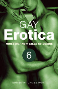 Gay Erotica, Volume 6: Three hot new tales of desire James Hunt Author