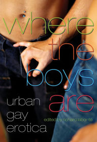 Where the Boys Are: Urban Gay Erotica Richard Labonte Editor