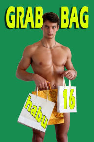 Grab Bag 16: A Gay Erotica Anthology Habu Author