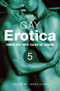 Gay Erotica, Volume 5: Four hot new tales of desire James Hunt Author