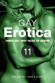 Gay Erotica, Volume 11: Three great new stories James Hunt Author