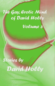 The Gay, Erotic Mind of David Holly, Volume 3 David Holly Author