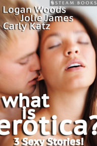 What is Erotica - A Sexy Compilation of 3 Erotic Stories from Steam Books Logan Woods Author