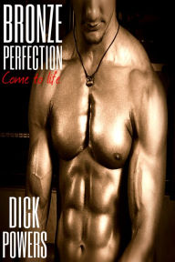Bronze Perfection Dick Powers Author