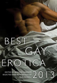 Best Gay Erotica 2013 Richard Labonte Editor