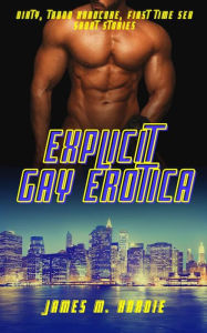 Explicit Gay Erotica: Dirty, Taboo Hardcore, First Time Sex Short Stories James Hardie Author