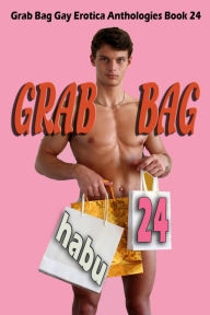 Grab Bag 24: A Gay Erotica Anthology Habu Author