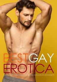 Best Gay Erotica 2014 Larry Duplechan Editor