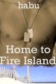 Home to Fire Island ( A Gay Erotica/ Gay Coming of Age) Habu Author
