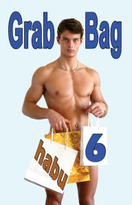 Grab Bag 6: A Gay Erotica Anthology habu Author
