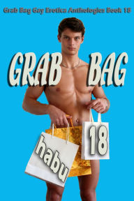 Grab Bag 18: A Gay Erotica Anthology Habu Author