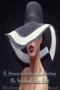 A Sensual eBook Collection - An Erotica Box Set Khloe Hernandez Author