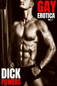 Gay Erotica Vol. 2 Dick Powers Author