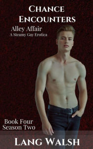 Chance Encounters: Alley Affair: A Steamy Gay Erotica (Chance Encounters: Season Two, #4) Lang Walsh Author
