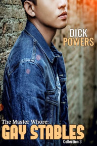 The Master Whore: Gay Stables Collection 3 Dick Powers Author