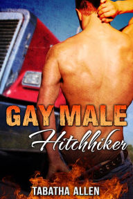 Gay Male Hitchhiker (Queer Erotica) Tabatha Allen Author
