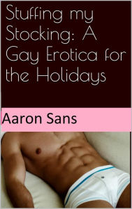Stuffing my Stocking: A Gay Erotica for the Holidays Aaron Sans Author