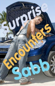 Surprise Encounters: A Gay Erotica Anthology Sabb Author