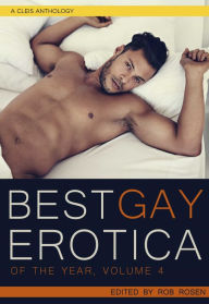 Best Gay Erotica of the Year, Volume 4 Rob Rosen Editor