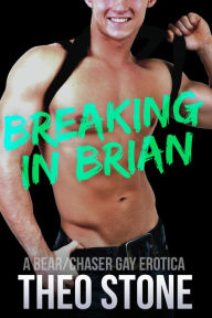 Breaking in Brian Theo Stone Author