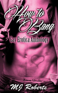 How to Bang: The Complete Anthology of Gay Erotica M. J. Roberts Author